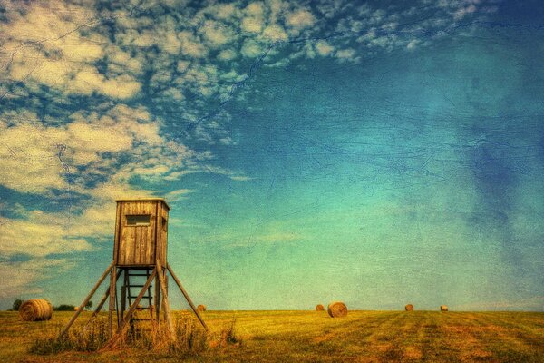 Entre el heno recogido en el campo hay una casa de vigilancia de madera