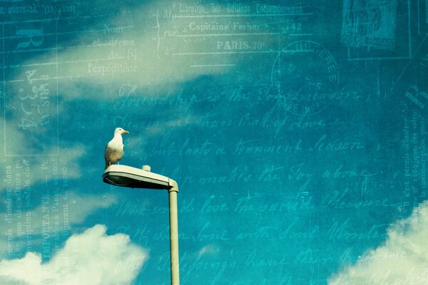 A seagull sitting on a lantern on a blue background