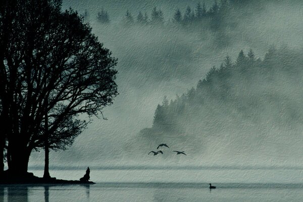 Fog landscape on a tree background