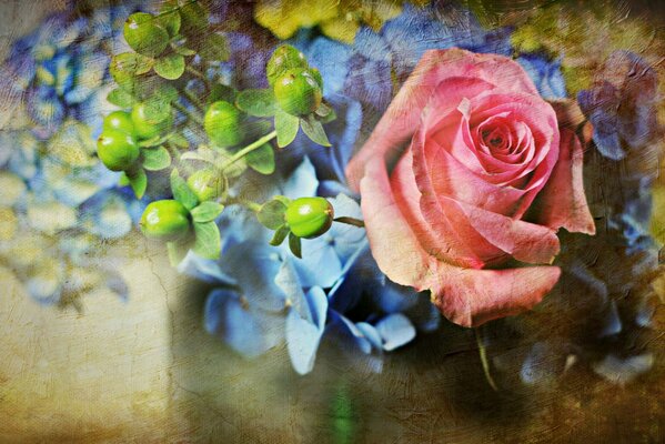 A rosebud opening through the wall