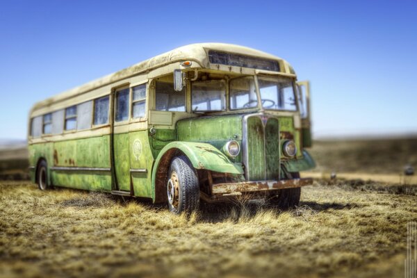 The broken bus fits harmoniously with the background of the field