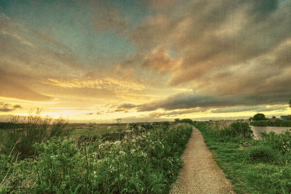 Route champ ciel fleurs