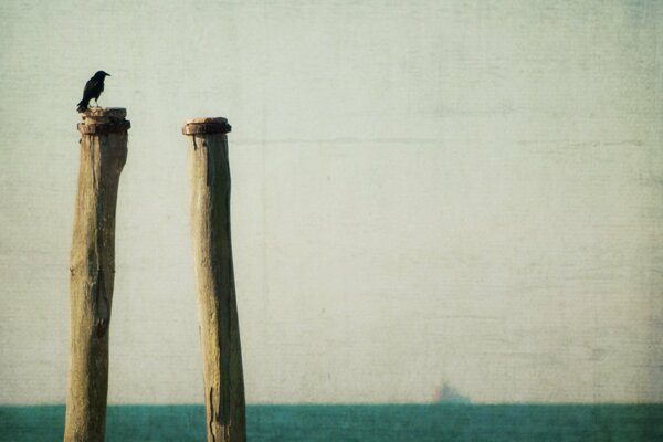 Dos pilares en el fondo del mar y un pájaro se sienta sobre ellos