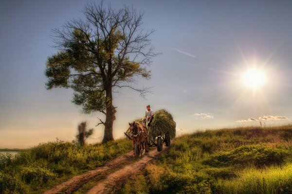 A horse is driving a hay cart