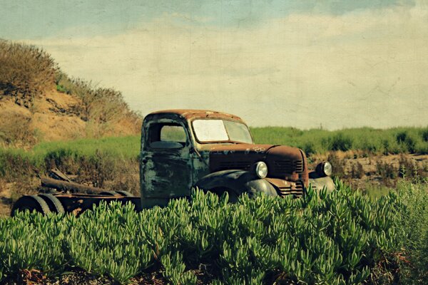 The car is in the field. Old car