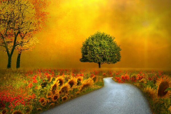 A road passing through a field with flowers and sunflowers