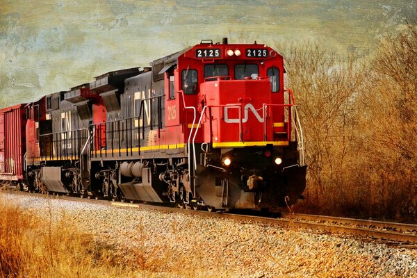 Le train se précipite au loin sur le chemin de fer