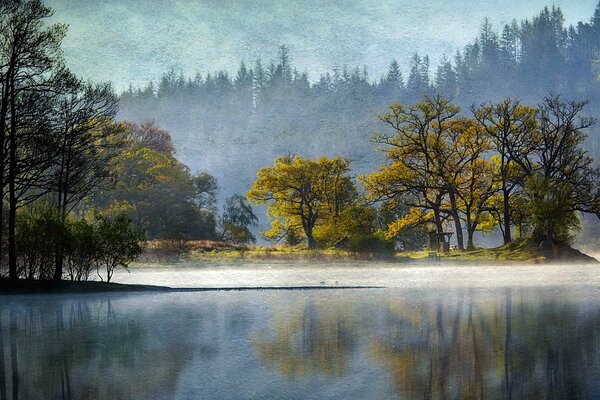 Die Landschaft des Sees mit den darin reflektierenden Bäumen