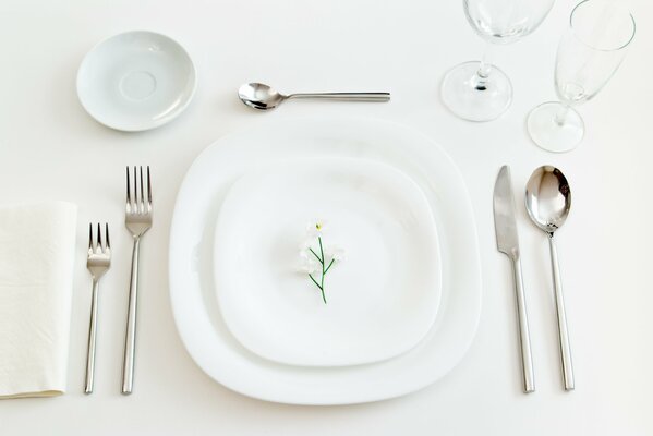 Beautiful serving of white dishes on the table