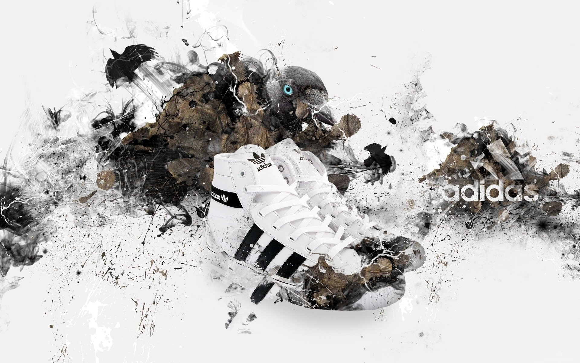 adidas adidas sneakers bird brand brand