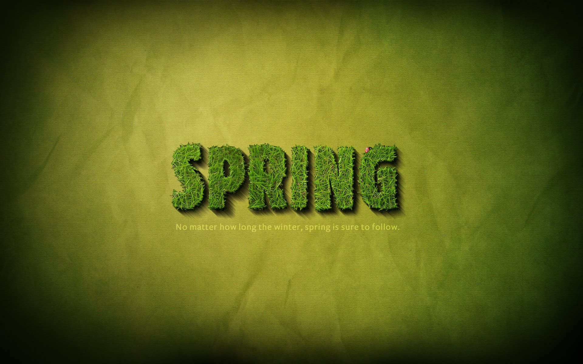 pring grass inscription words phrase lettering 1920x1200