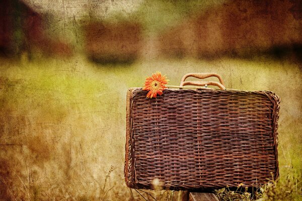 Valise tressée sur beau fond