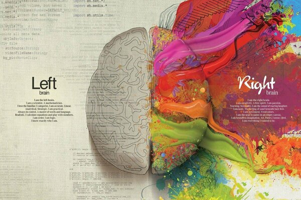 Image créative des hémisphères du cerveau humain