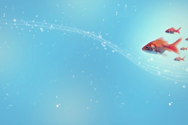 Goldfish on a blue background with bubbles