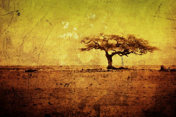 Texture drawing of a lonely tree in Africa