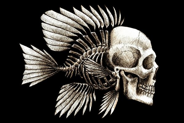 Squelette de poisson avec crâne humain