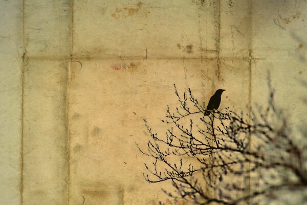 A bird on a tree branch at the edge of the letter