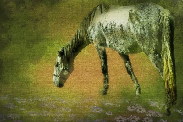 Cheval stylisé paissant dans la Prairie