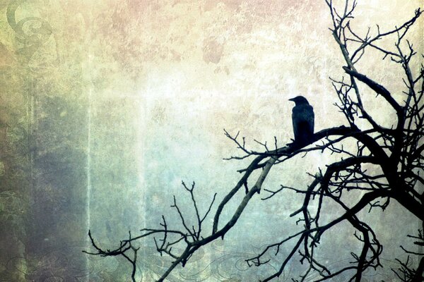 Schwarzer Vogel auf schwarzem Baum