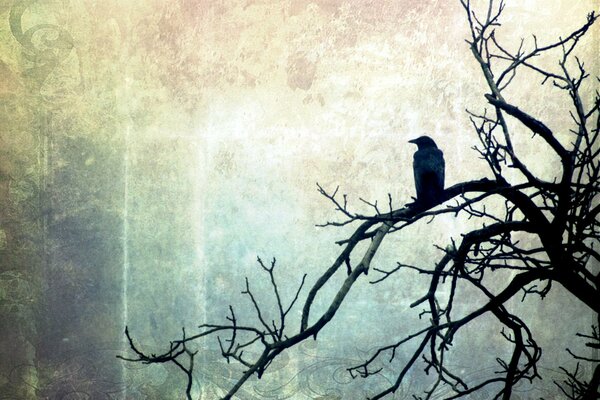 Uccello nero su albero nero