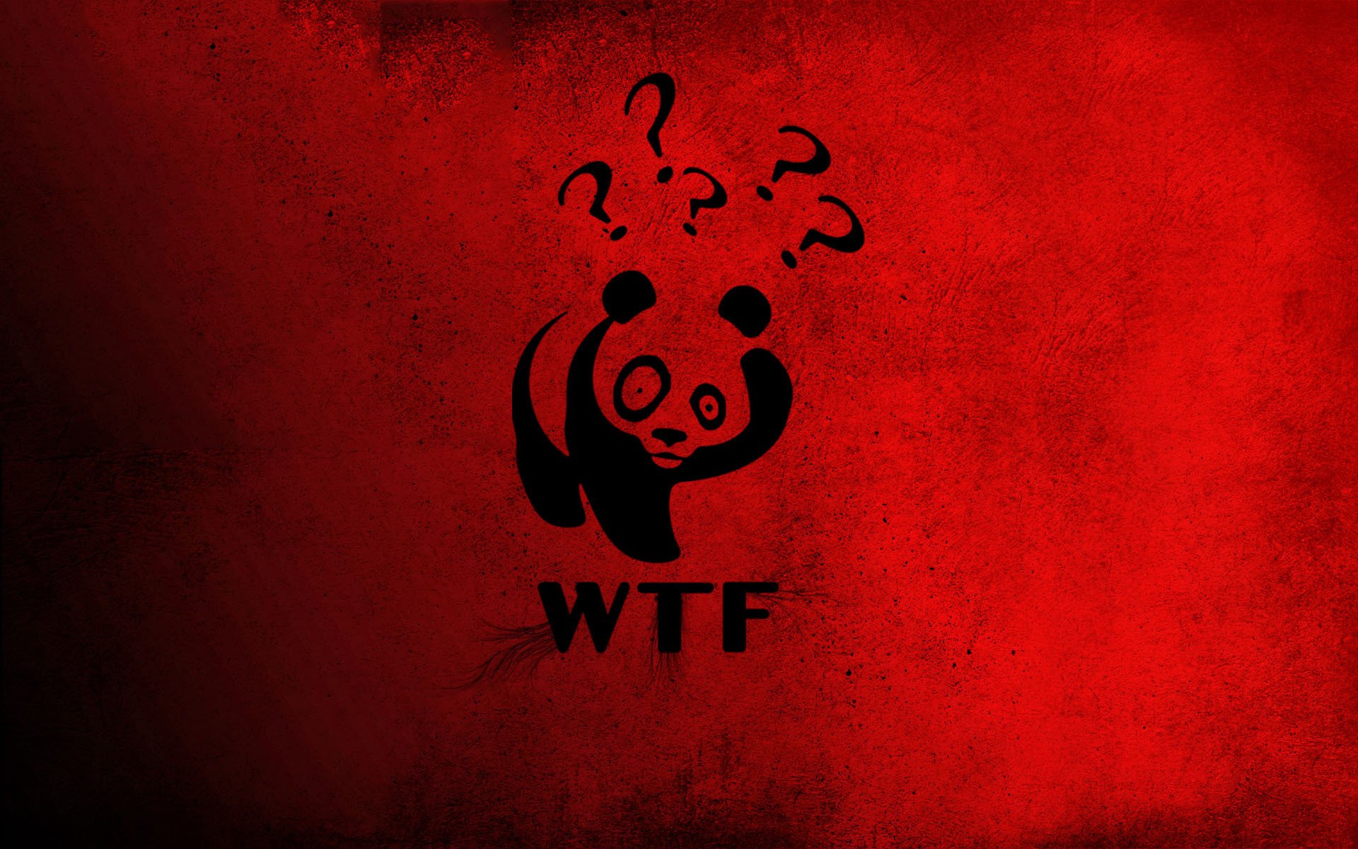 panda china winnie the pooh wtf rojo signo de interrogación ojos grandes