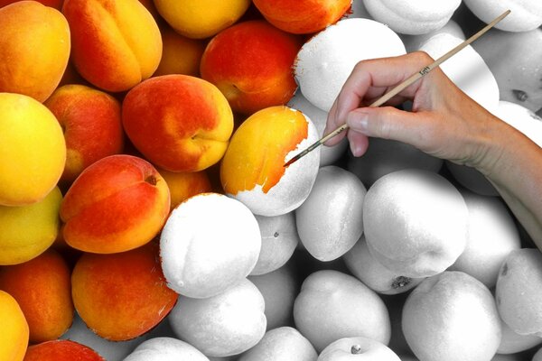 Peaches are an analogy of life, it can be colored and bright, or it can be black and white. The brush is in your hands