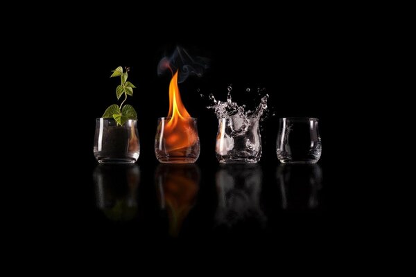 Earth, plants, fire, water, air, the need for life in one glass