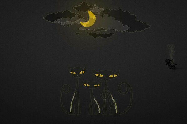 Three cats in a dark night under the moon and an unidentified object descends