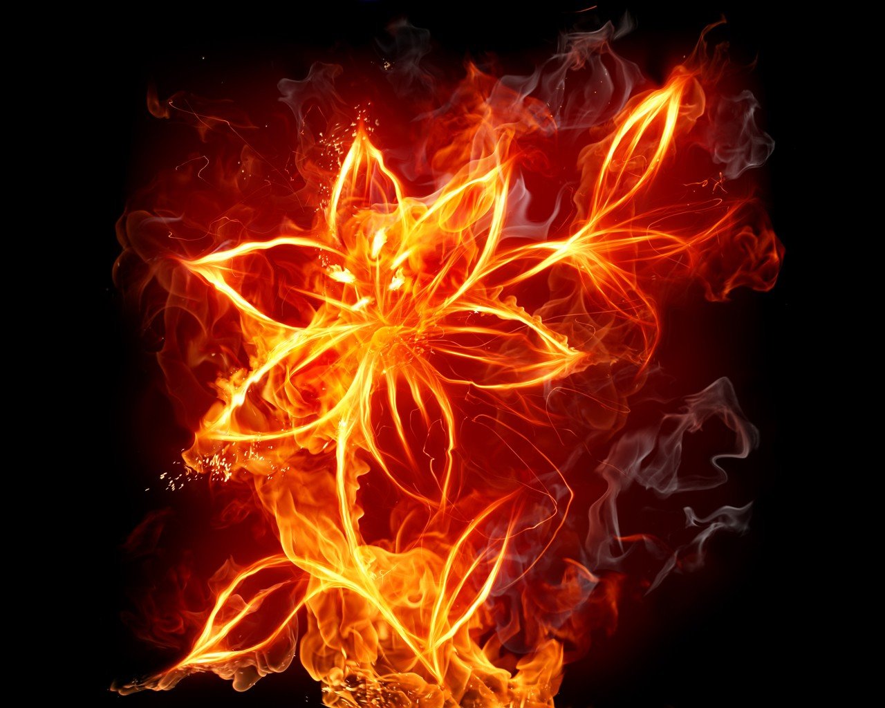 feuer blume