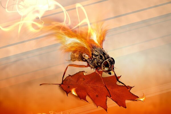 A burning fly on a golden leaf