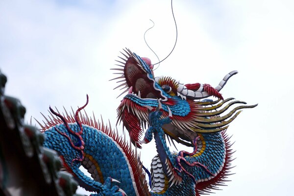 Dragon chinois bleu sur fond de ciel