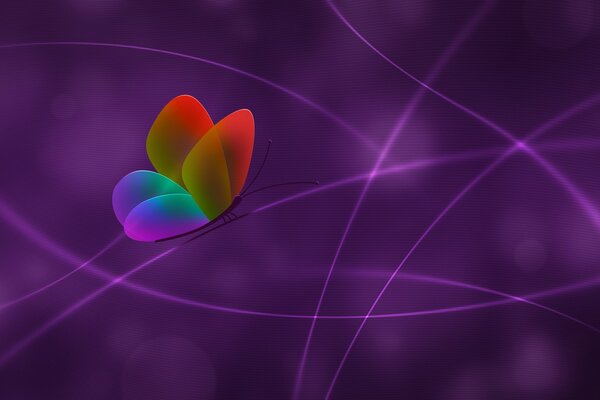 Rainbow butterfly desktop background