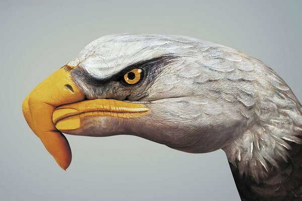 Zeichnungen auf der Hand mit Adler-Farbe