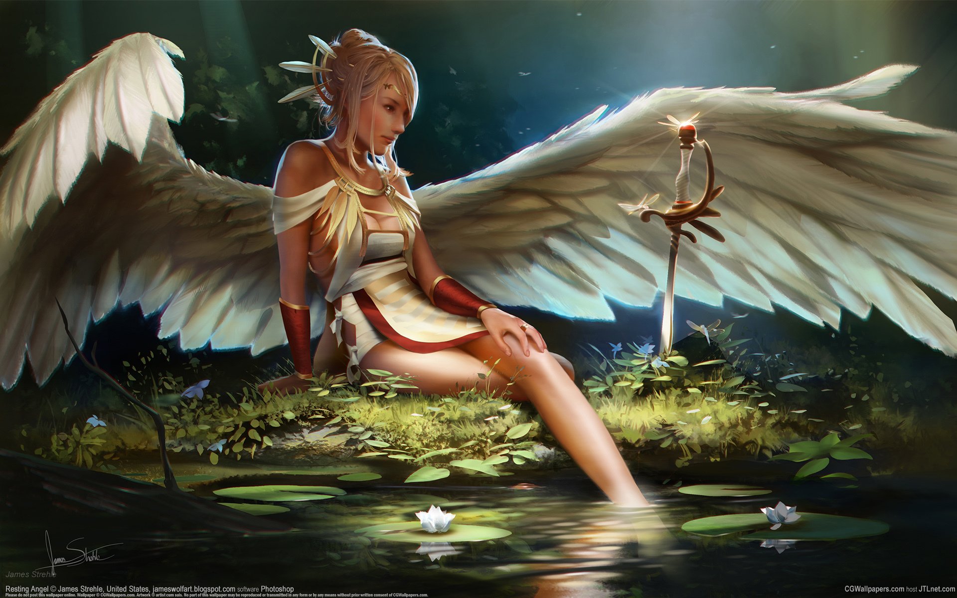 james strehle girl angel wings sword pond