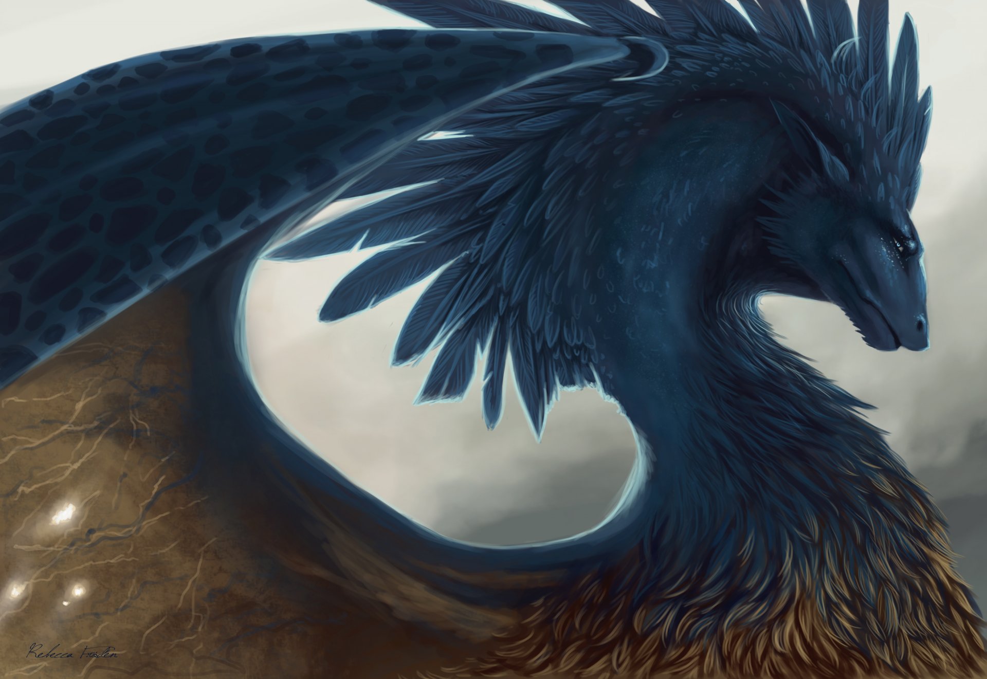 art eragon dragon plumes fantasy