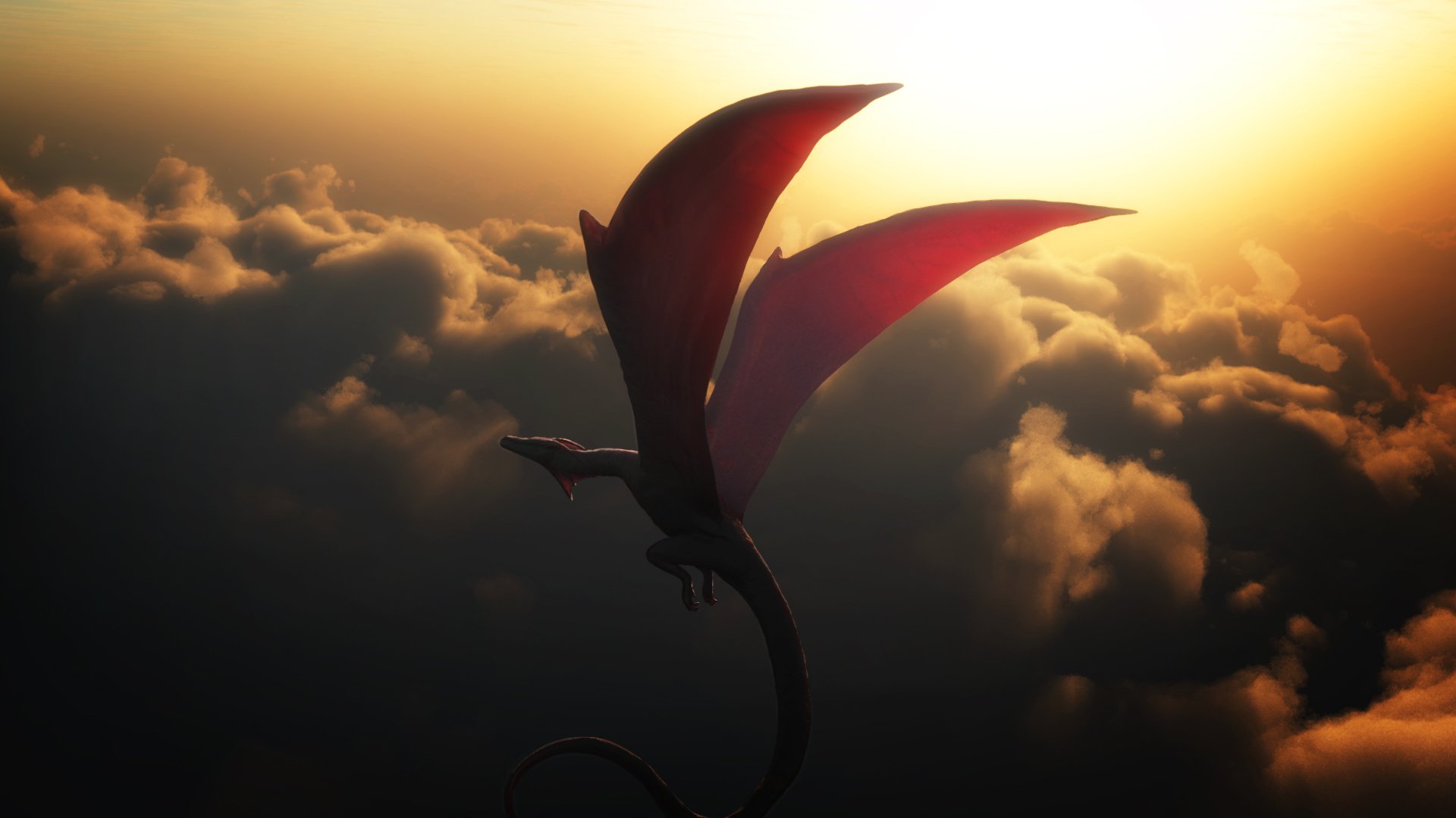 dragon in the sky flight clouds sunset