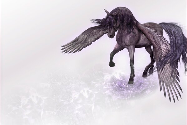 Pegasus di colore scuro magico allarga le sue ali