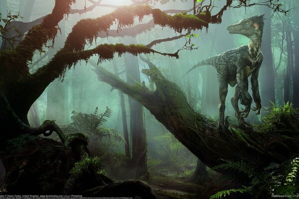 A frightening dinosaur in a fantastic forest