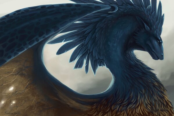 Dragon Ergon in feathers from fantasy