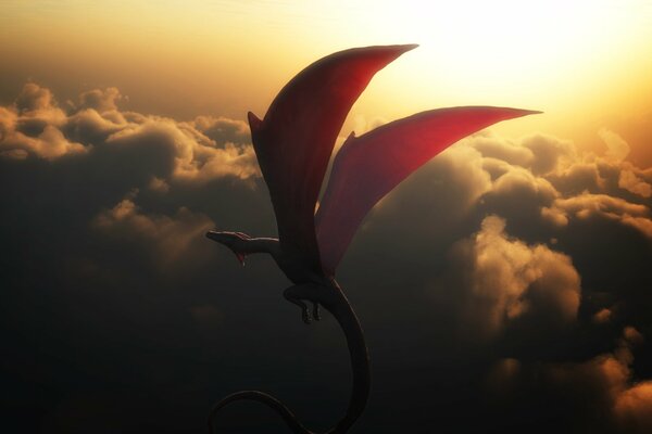 Dragon vole dans le ciel sur fond de coucher de soleil