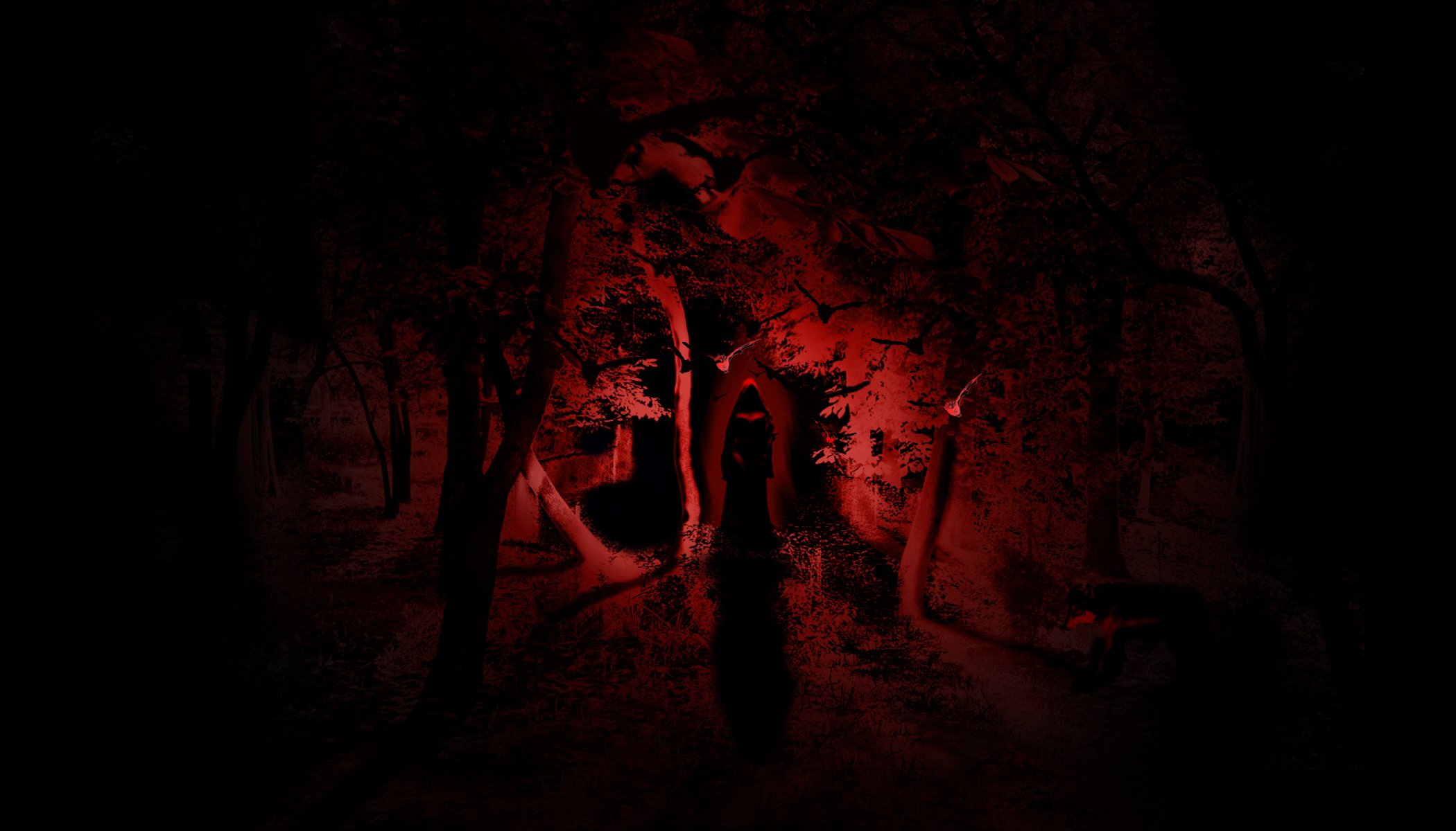 hexe nacht wald horror licht