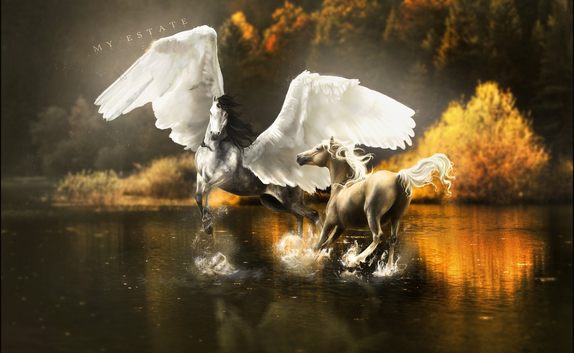 fantasía caballos arte pegaso alas agua salpicaduras reflexión árboles