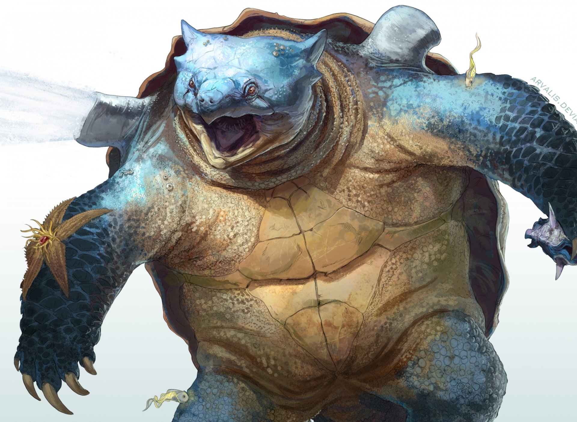 blastoise pokemon morski skorupa żółw