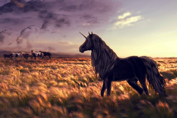 A unicorn with a long mane stands in a field in the evening