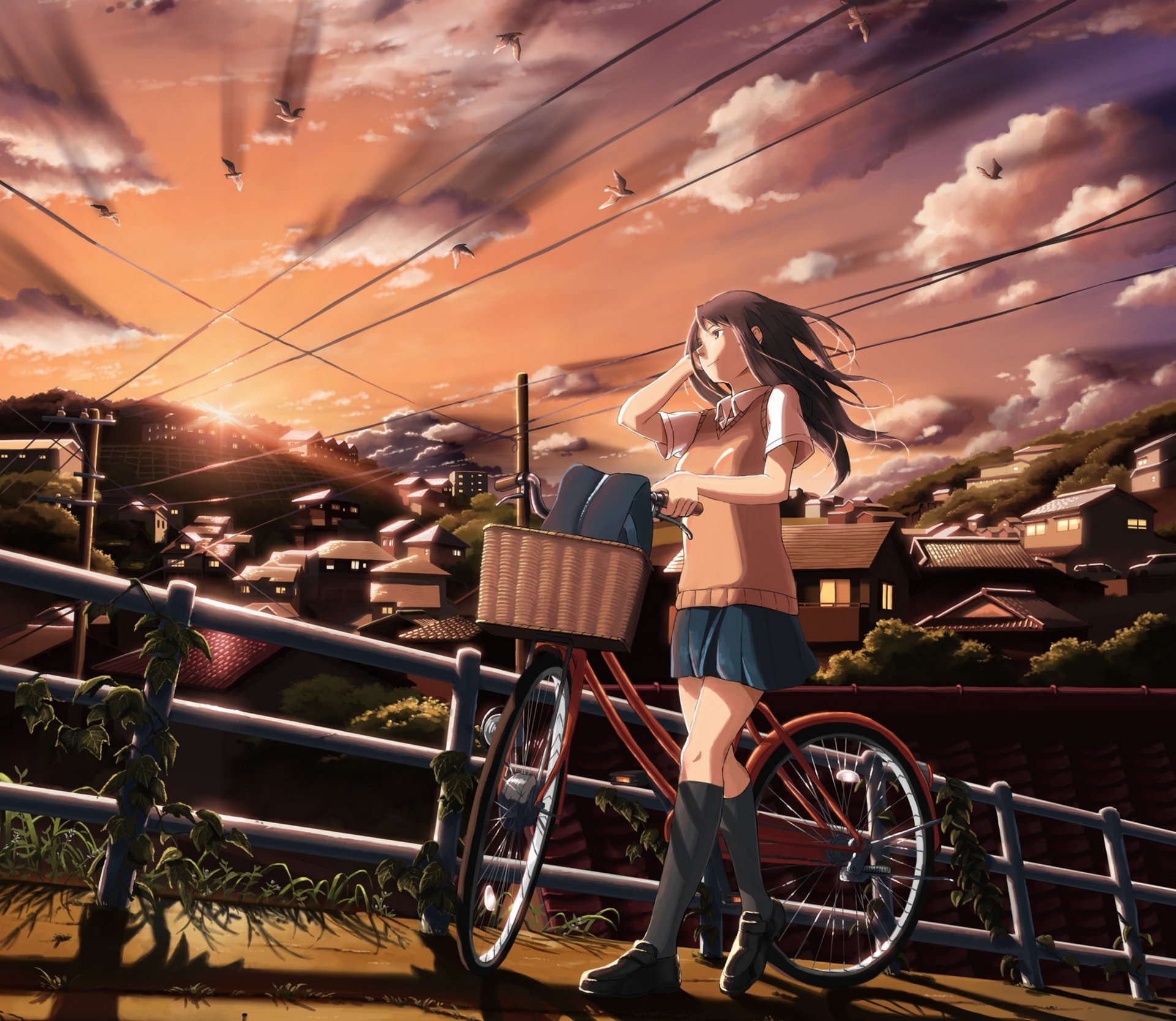 art inoki girl schoolgirl bike town house sunset sky clouds birds anime