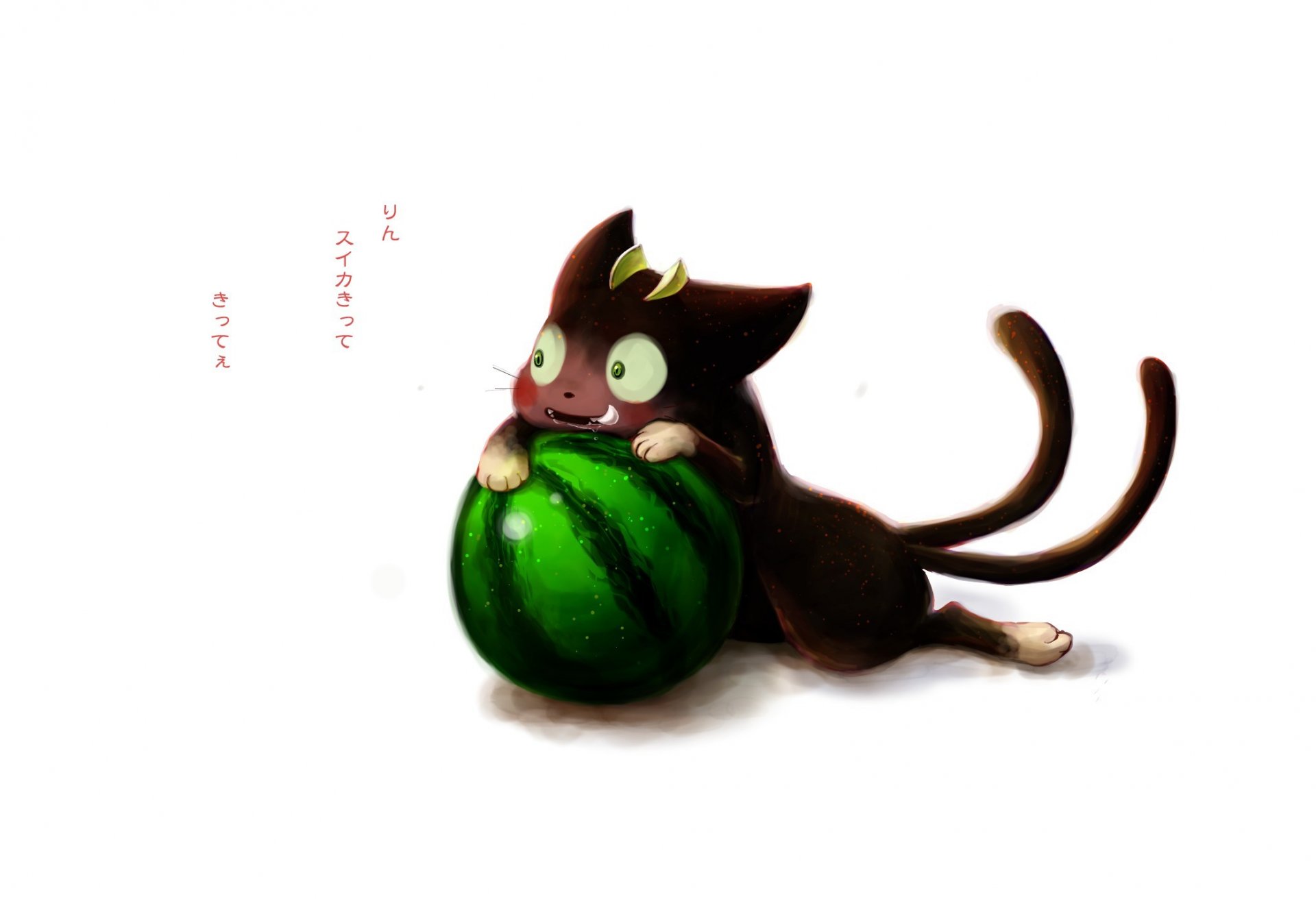 kunst anime ao kein exorzist blauer exorzist kuro katze wassermelone