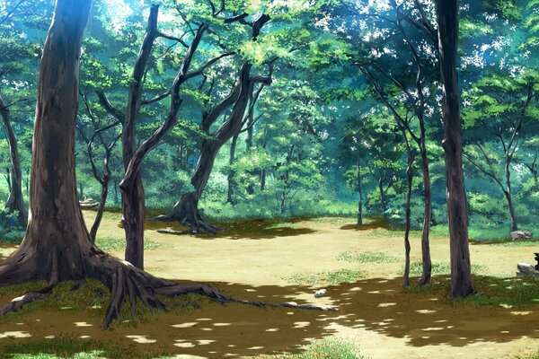 A calm quiet forest filled with sunshine and tranquility