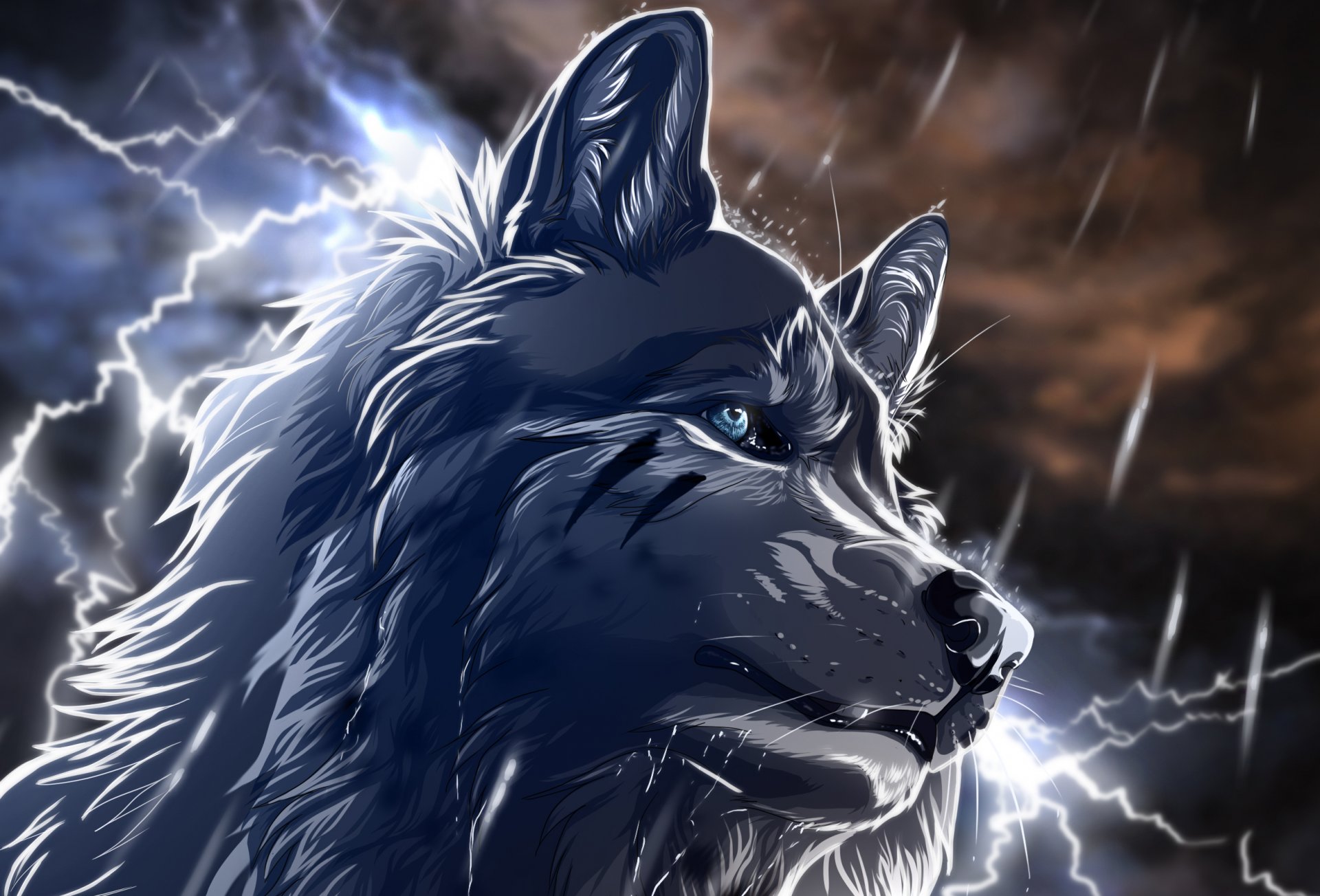 art wolf rain lightning night