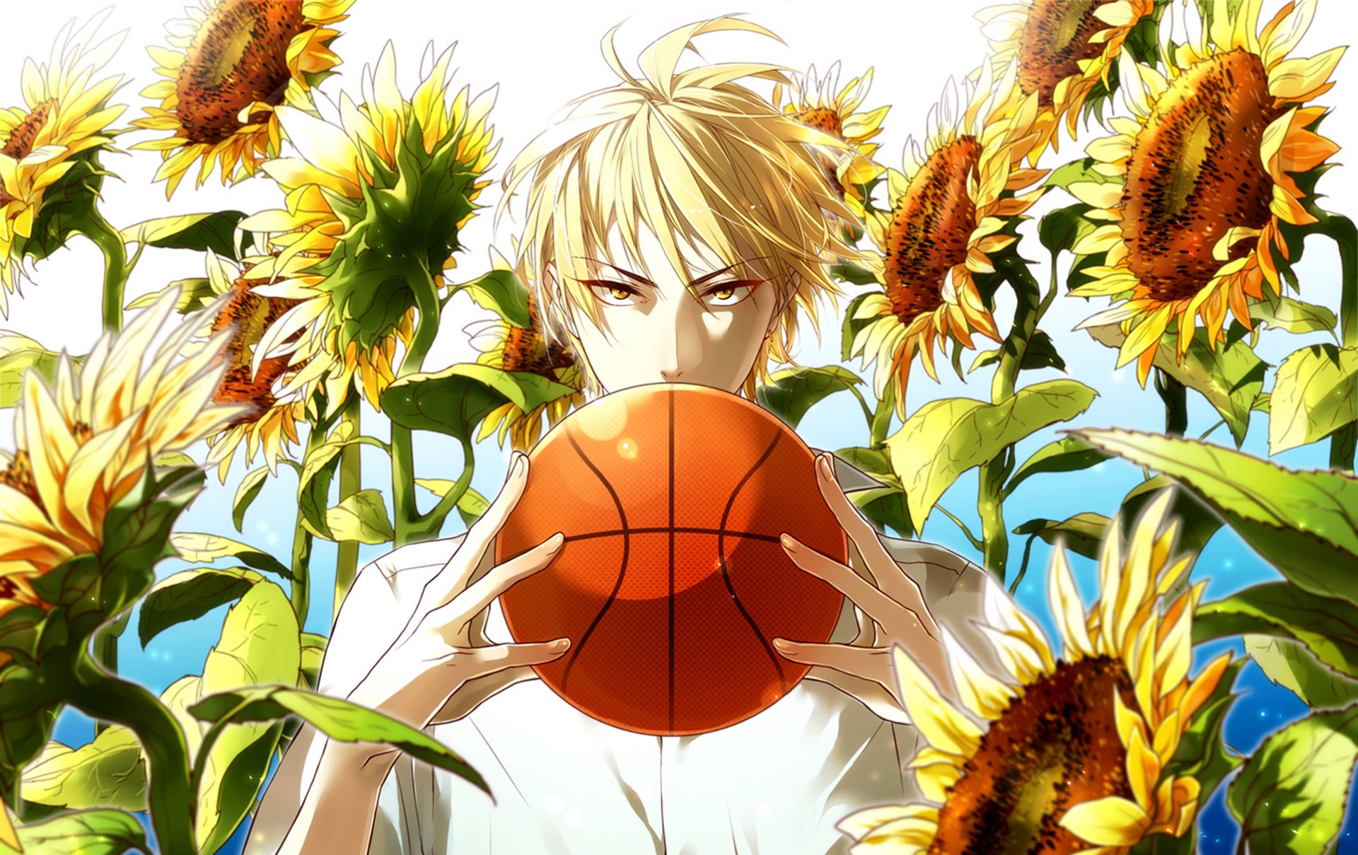 nie kuroko nie kosz kise ryouta kaijou koszykówka kuroko facet piłka słoneczniki spojrzenie blask słońca