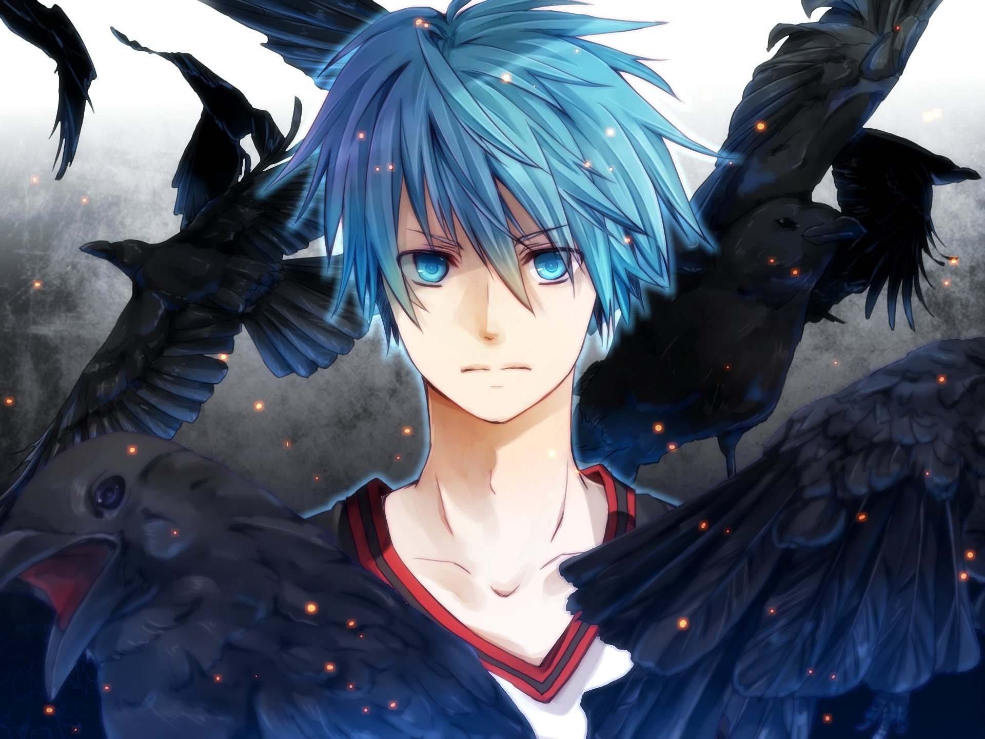 art mochitachio nie kuroko nie kosz kuroko tetsuya facet ptaki wrony